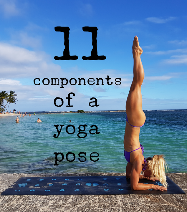 The 11 Components of a Yoga Pose
